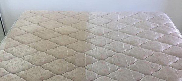 Mattress Steam Cleaning Before and After — Steam Cleaning in Proserpine, QLD