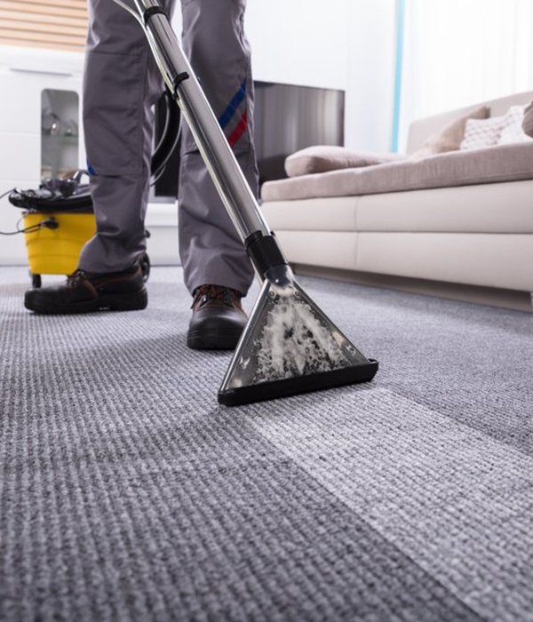 Living Room Carpet Getting Professional Steam Clean — Protect & Sanitise Whitsundays in Proserpine, QLD