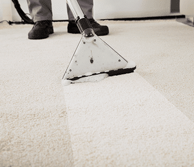 Carpet Cleaning — Carpet Cleaning in Cannonvale, QLD