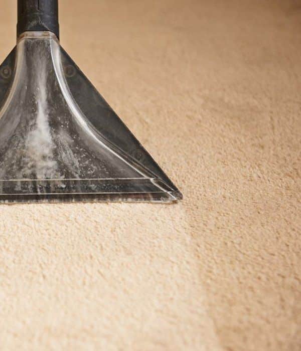  CloseUp of Carpet Getting Steam Cleaned — Carpet Cleaning in Proserpine, QLD
