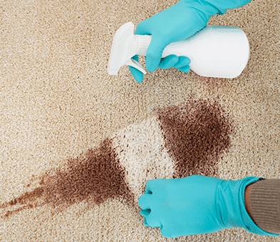 Cleaning Red Wine Stain off Carpet — Carpet Cleaning in Airlie Beach, QLD